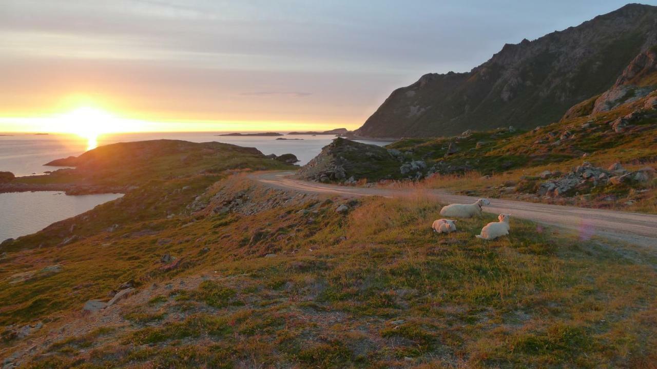 Apartment For Holiday In Nyksund エクステリア 写真